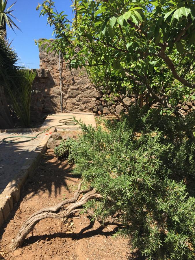 Cactus B&B Le Casette Di Marilena 판텔레리아 외부 사진